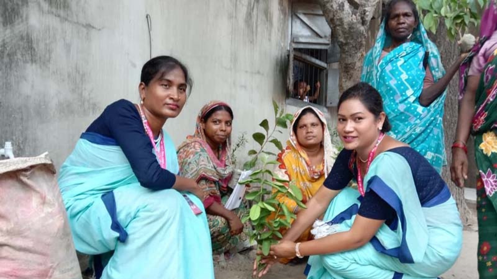নারী ও শিশু কল্যাণ সংস্থার উদ্যোগে ফলজ গাছ বিতরণ