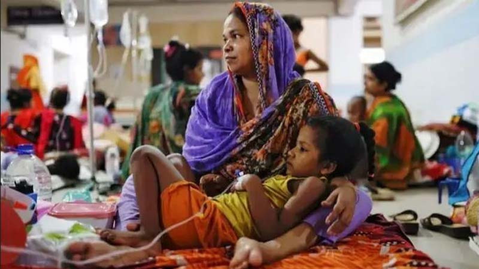 ডেঙ্গুতে আরও ৮ জনের মৃত্যু