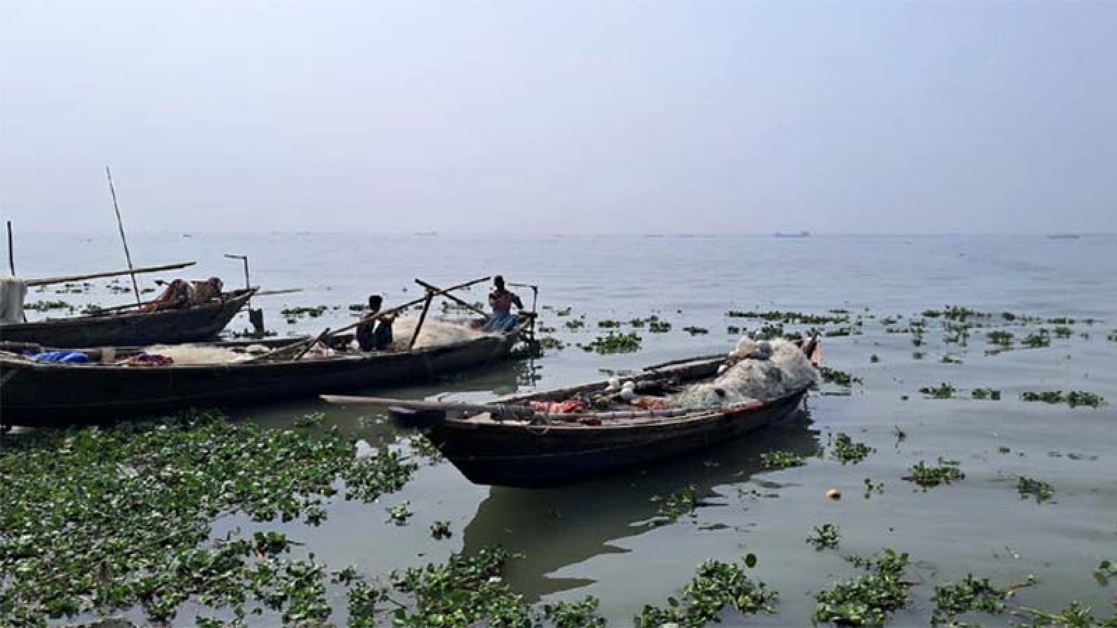 দুই মাস পদ্মা-মেঘনায় ইলিশসহ সব ধরনের মাছ ধরা নিষেধ