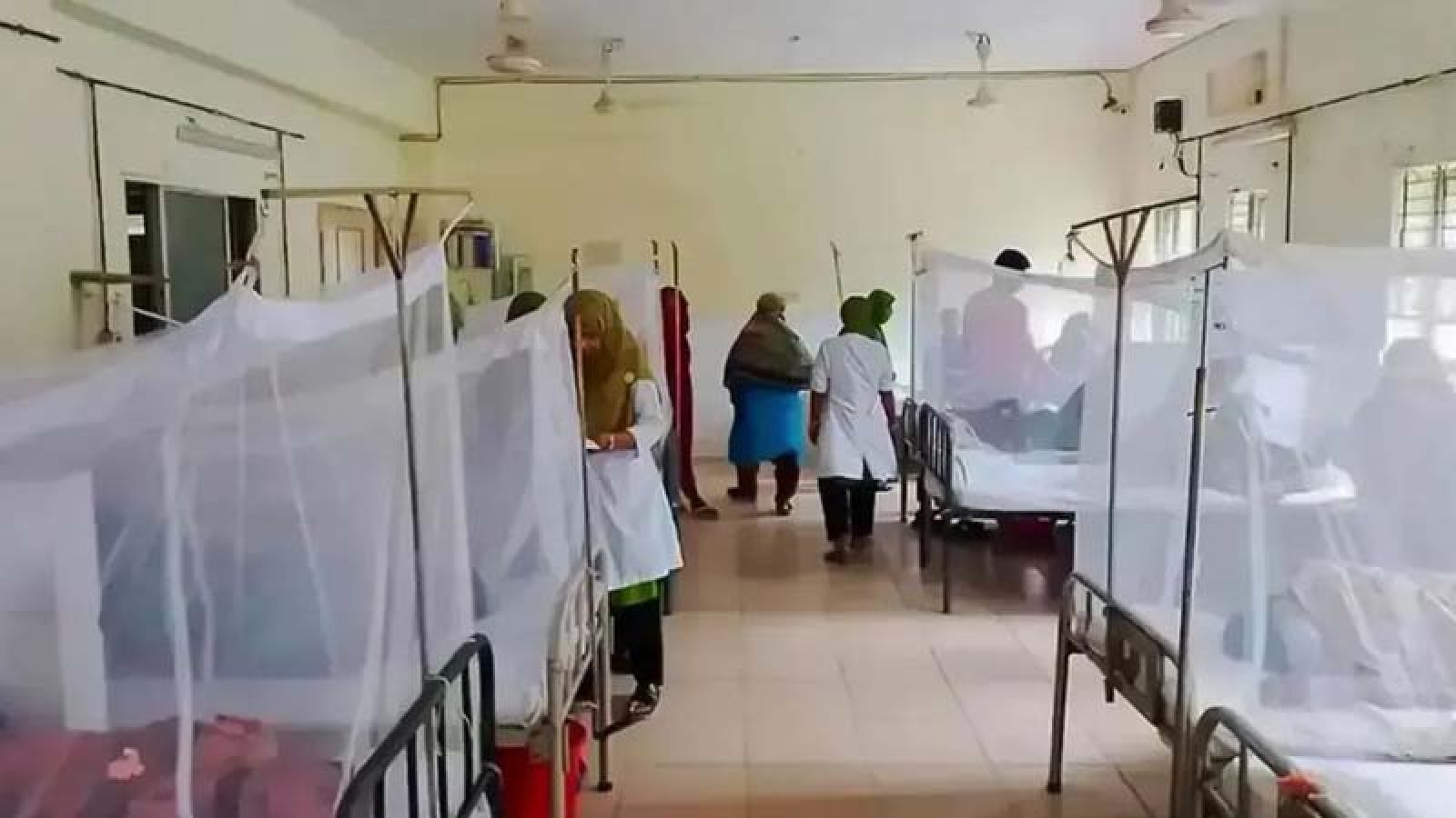 দেশে ২৪ ঘণ্টায় ডেঙ্গুতে আরও ৯ জনের মৃত্যু