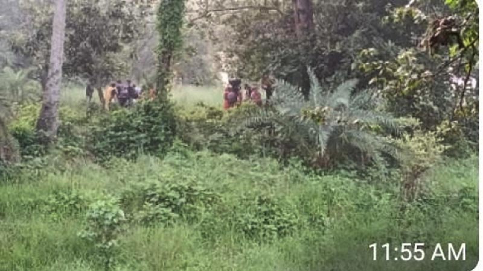 চাঁপাইনবাবগঞ্জ সীমান্তে ২৮ জনকে পুশ-ইন করল বিএসএফ, বিজিবির সতর্ক অবস্থান