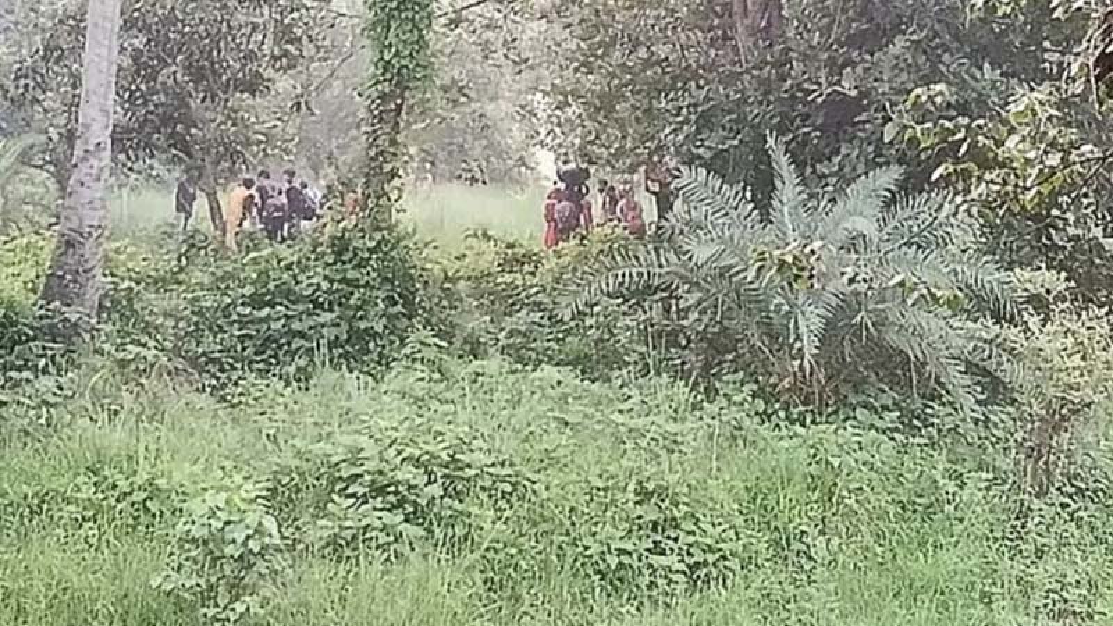 বিএসএফের ঠেলে পাঠানো ২৮ জন দুই দিন ধরে সীমান্তের শূন্যরেখায়, ভিজছেন বৃষ্টিতে