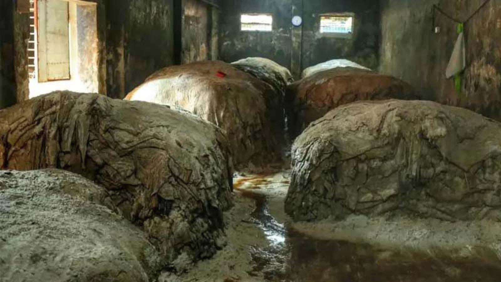 দুই হাজার টাকার চামড়া বিক্রি হচ্ছে ৫০০ টাকায়