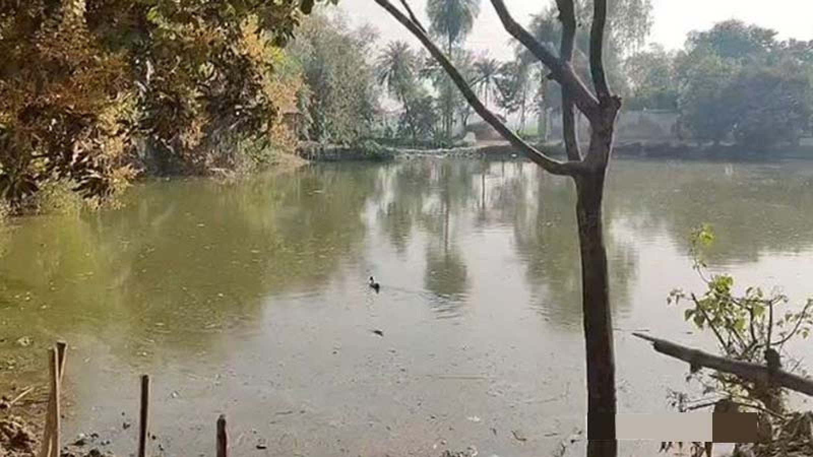 সিরাজগঞ্জে খাস পুকুরে মাছ ধরা নিয়ে সংঘর্ষে নিহত ২