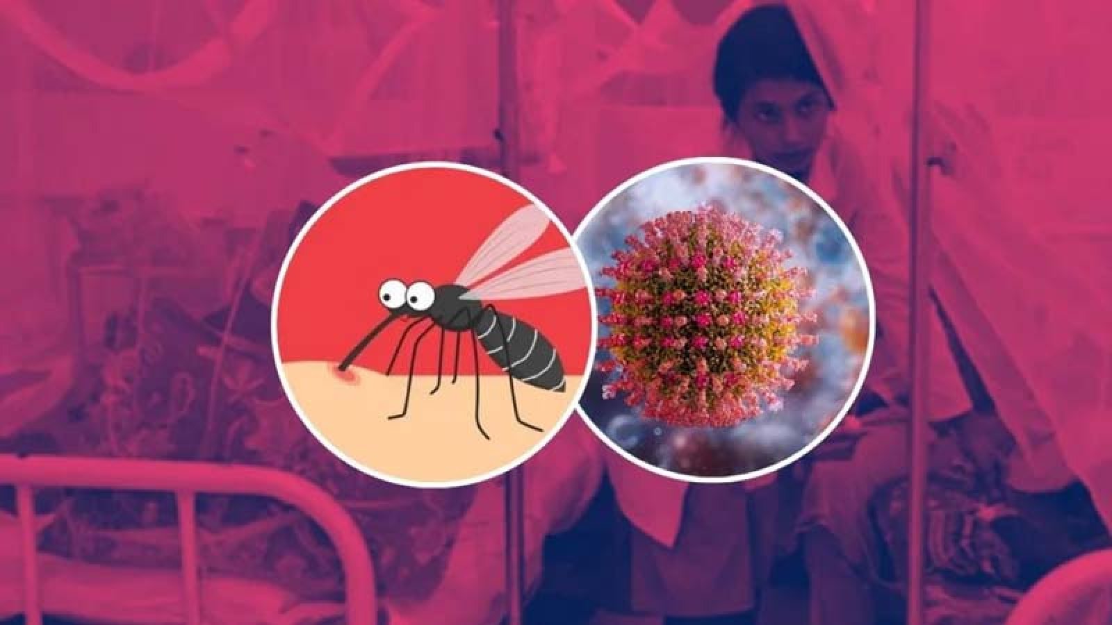 ডেঙ্গুতে আরও ৬ জনের মৃত্যু
