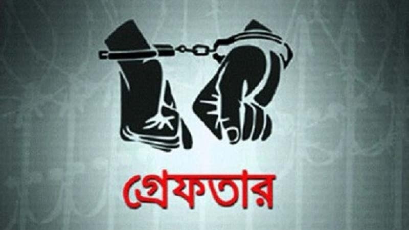 নগরীতে বিভিন্ন অপরাধের অভিযোগে গ্রেপ্তার ১২ জন