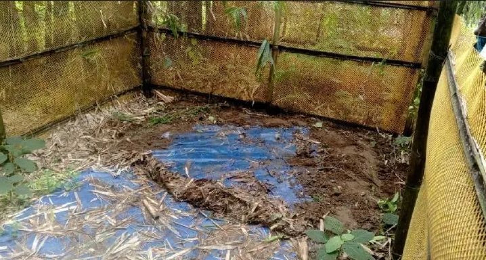 ঠাকুরগাঁওয়ে কবরস্থান থেকে ৫ কঙ্কাল চুরি