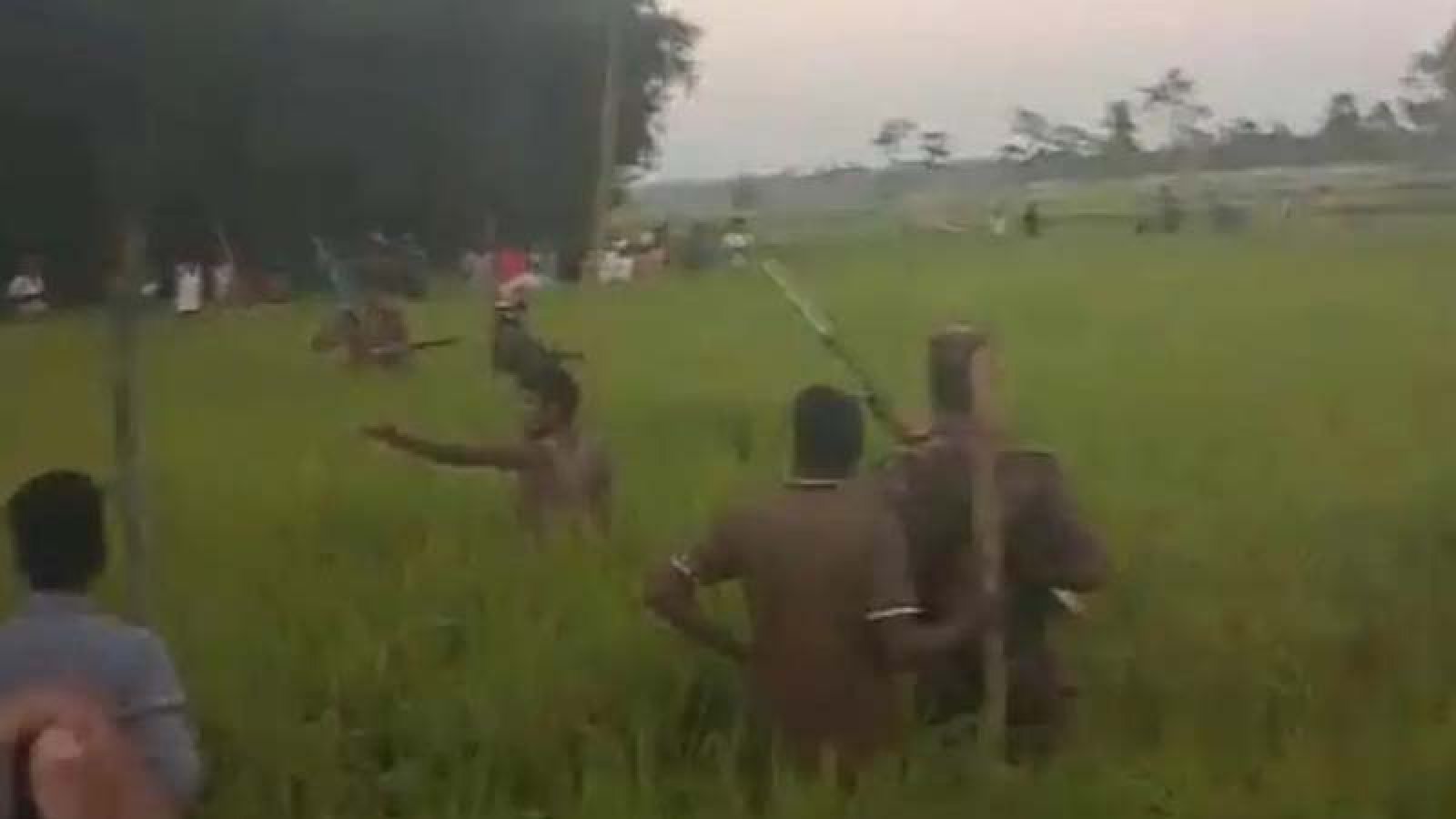 লালমনিরহাটে বাঘের আক্রমণে নারীসহ আহত ৩