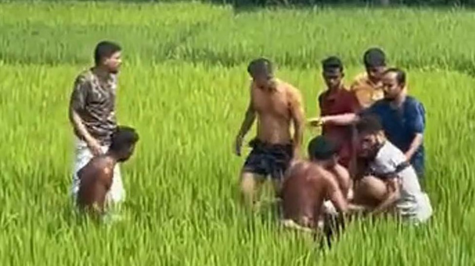 ধান খেতে ছিঁড়ে পড়া বিদ্যুতের তারে জড়িয়ে ২ কৃষকের মৃত্যু