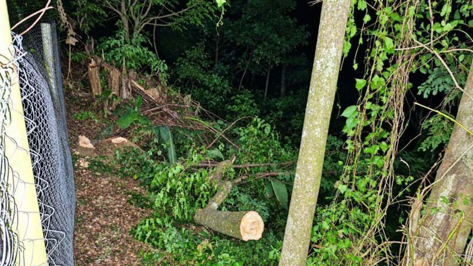 সান্তাহারে মিলারের বিরুদ্ধে খাড়ির পাড় দখল ও জমিতে বর্জ্য ফেলার অভিযোগ