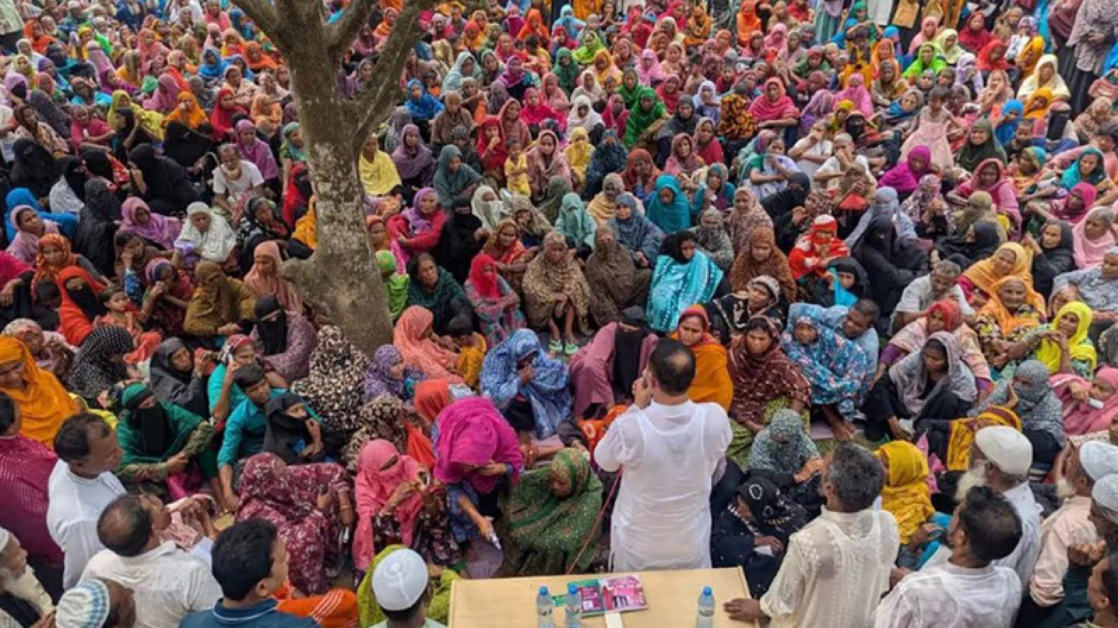 শেরপুর-৩ উপনির্বাচন : বিএনপি-জামায়াত হাড্ডাহাড্ডি লড়াইয়ের আভাস