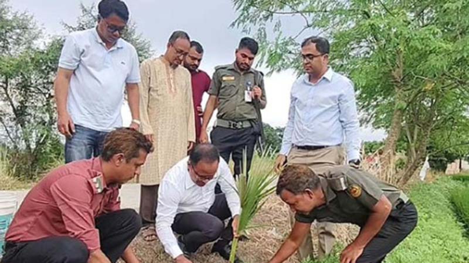 চাঁপাইনবাবগঞ্জের রামদাস বিলে সড়কের দুপাশে লাগানো হচ্ছে দেড় হাজার তালগাছ