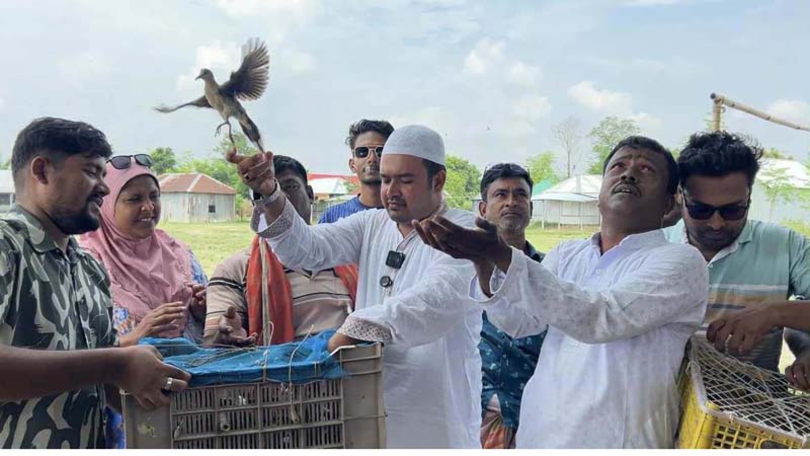 বাঘায় পদ্মার চরে ৩ শতাধিক পাখি অবমুক্ত