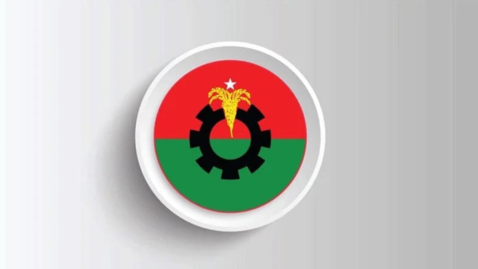 রাজশাহী বিভাগে বিএনপির ৮ নেতাকে বহিষ্কার