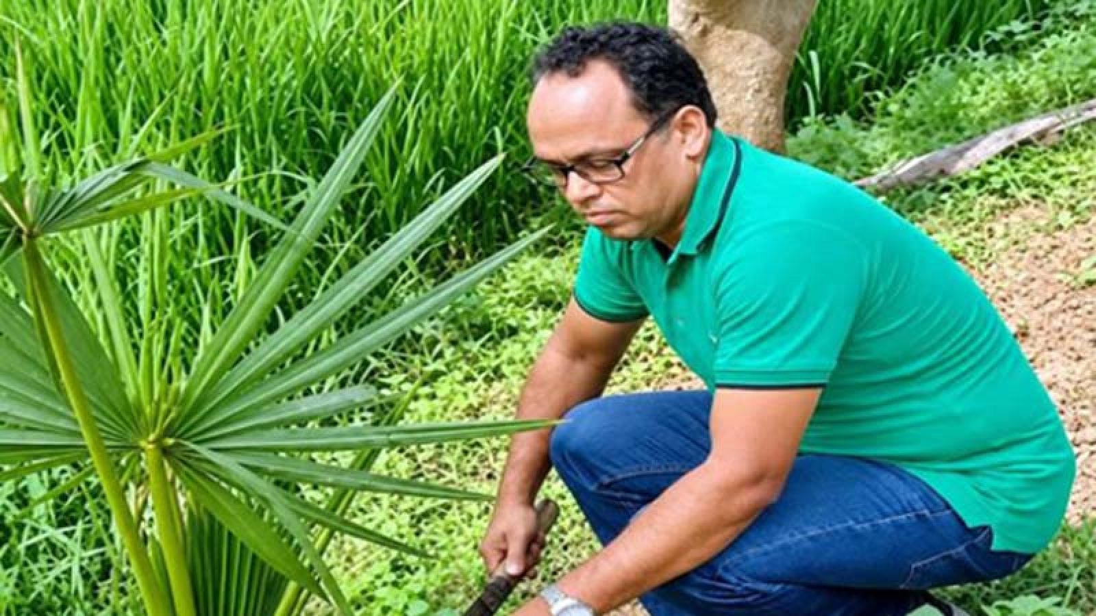 মহাদেবপুরে গাছের পরিচর্যায় ব্যস্ত আরিফুর