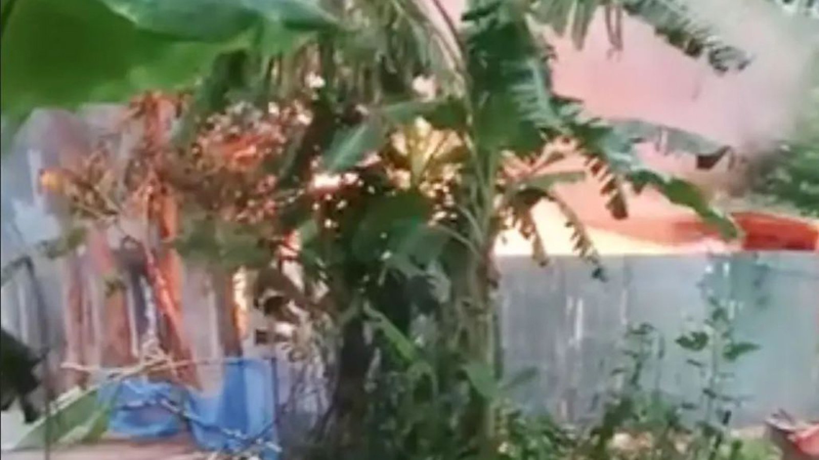 পাবনায় কিশোরীকে ধষর্ণ-হত্যার জেরে আসামিদের বাড়িতে আগুন, দগ্ধ হয়ে নিহত ৩