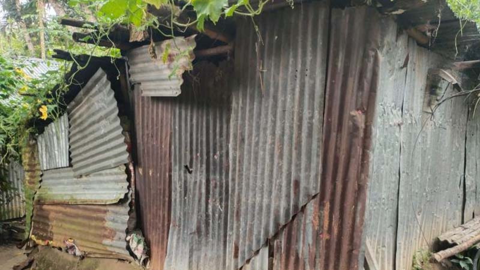 নাটোরে স্বামী-সন্তানহারা বৃদ্ধার মানবেতর জীবন