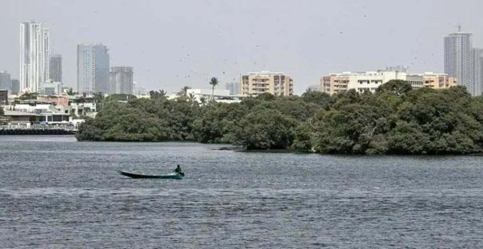 ৫ ক্রু নিয়ে পাকিস্তানে কার্গো প্লেন নিখোঁজ