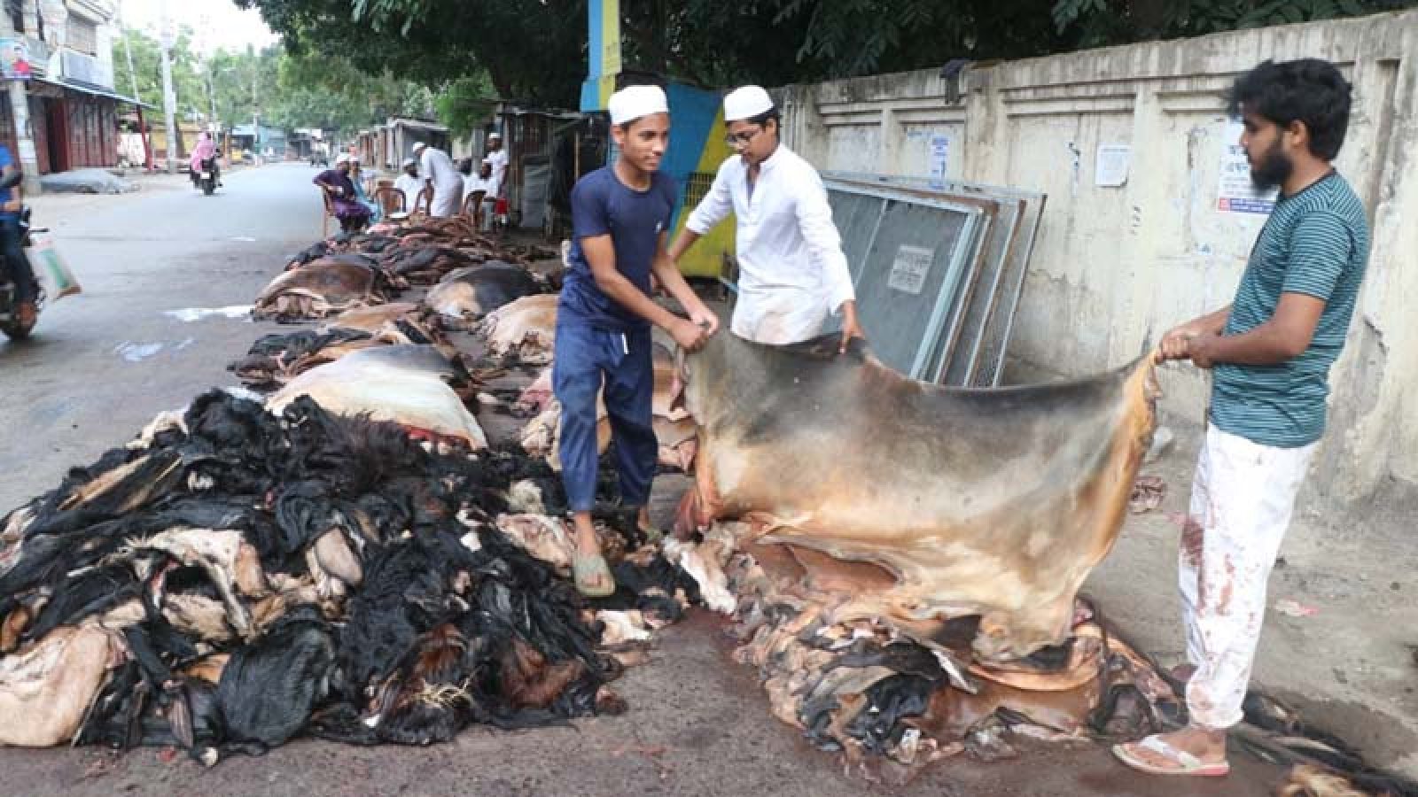 এবারও চামড়ার দাম নেই, লোকসানে মৌসুমি ব্যবসায়ীরা