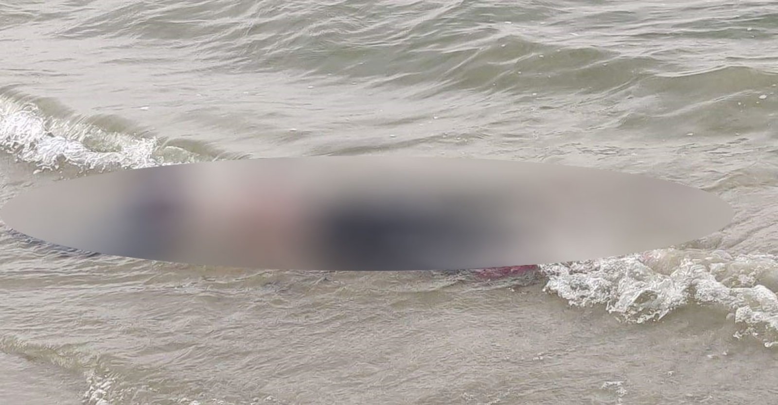 বাঘায় পদ্মায় ডুবে মহিষের রাখালের মৃত্যু
