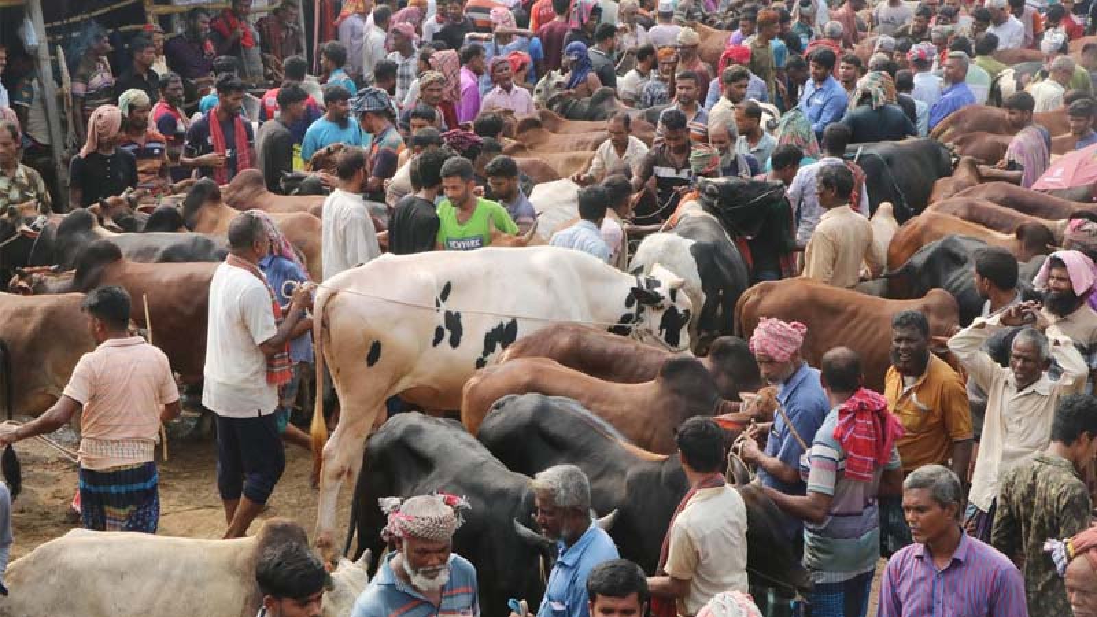 পশুর হাটে ক্রেতার চেয়ে দর্শনার্থী বেশি