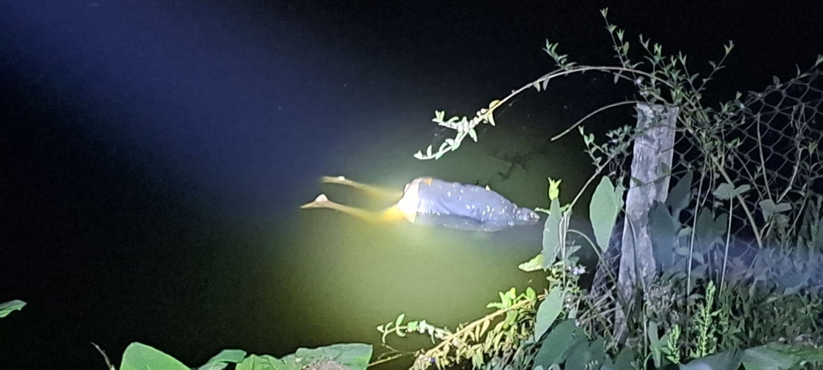 রাজশাহীতে পুকুর থেকে রিকশাচালকের মরদেহ উদ্ধার