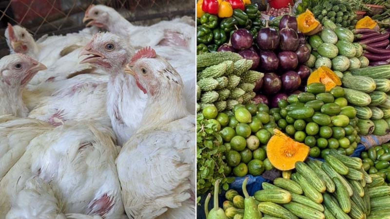 সবজি ও মুরগির চড়া, কমেছে কাঁচামরিচের দাম