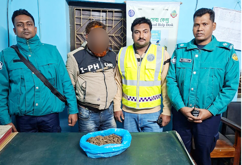দামকুড়াতে গাঁজা উদ্ধার; গ্রেপ্তার ১