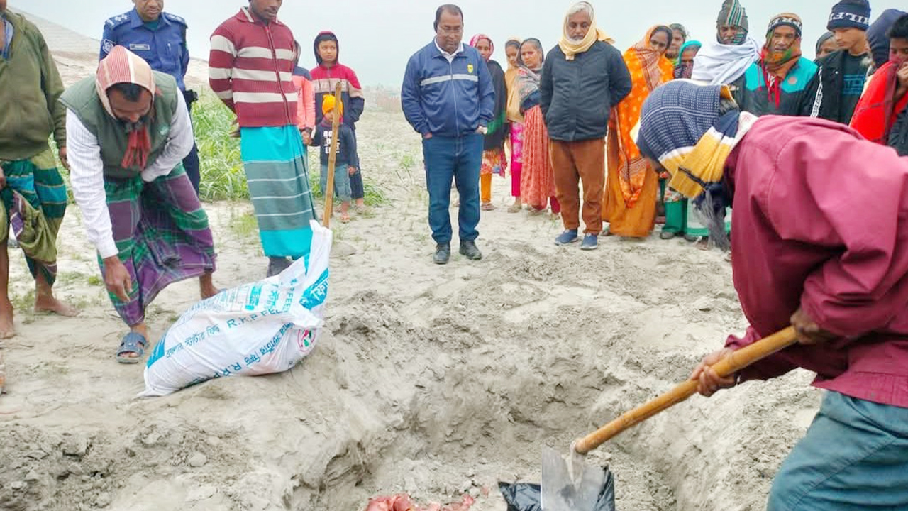 সিরাজগঞ্জে গোপনে ঘোড়ার মাংস ঢাকায় পাঠানোর চেষ্টা, দুইজনকে জরিমানা