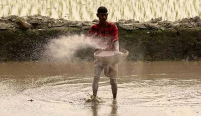 ৭ লাখ কৃষকের ৬০৪ কোটি টাকা কৃষিঋণ মওকুফ