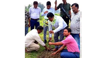 পরিবেশের ভারসাম্য রক্ষায় ১৫০ কৃষ্ণচূড়া বৃক্ষ রোপণ