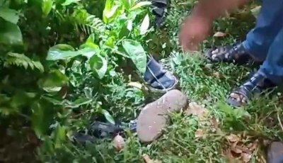 বগুড়ায় সাবেক ইউপি সদস্যকে কুপিয়ে হত্যা