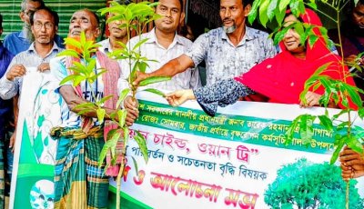 মহাদেবপুরে গাছের চারা বিতরণ