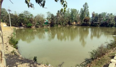 রাণীনগরে মিথ্যে মামলার ফাঁদে শতাধিক সরকারি পুকুর