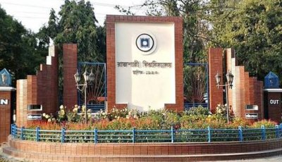 রাবিতে অপরিপক্ব ফল সংগ্রহে নিষেধাজ্ঞা, আয়োজিত হবে ‘মধুফল উৎসব’