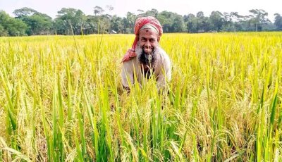 দেশে খাদ্য উৎপাদন বাড়লেও আমদানি-নির্ভরতা কাটছে না