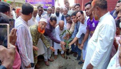 রাণীনগরে গ্রামীণ পাঠাগারের উদ্যোগে মাদক বিরোধী র‌্যালী-বৃক্ষ রোপন