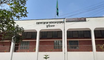স্বামীকে শ্বাসরোধে হত্যা, স্ত্রী ও শ্বশুর-শাশুড়িসহ ৪ জনের যাবজ্জীবন