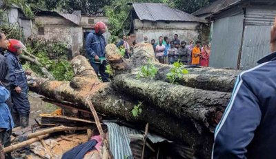 বগুড়ায় কালবৈশাখী ঝড়ে ব্যবসায়ী নিহত