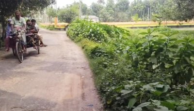 শ্বশুরের গ্রামের ঠিকানায় অধিকাংশ জামাইয়ের স্থায়ী বসবাস