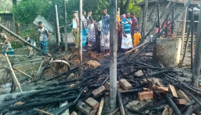 বাঘায় অগ্নিকাণ্ডে দুই গরুর মৃত্যু