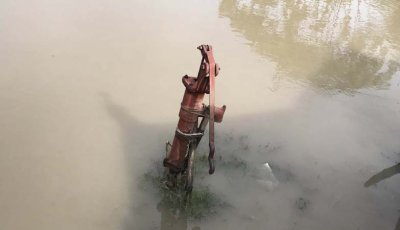 বাঘায় পানিবন্দি পদ্মার ১৫টি চরে ২০ হাজার মানুষ বিশুদ্ধ পানির সংকট