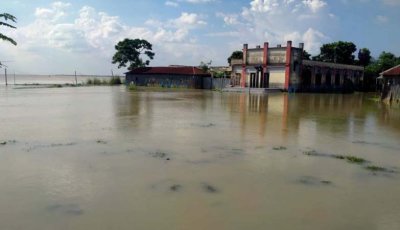 বাঘায় পানিবন্দি মানুষের দুর্দশার জীবন