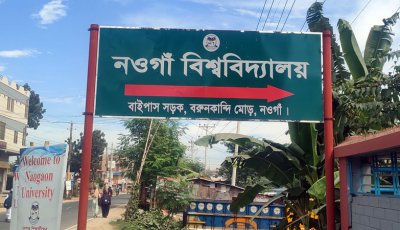 নবিতে যুক্ত হচ্ছে আরো নতুন দুটি বিষয়