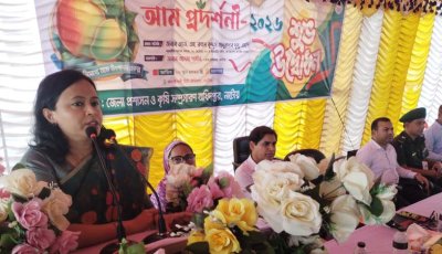 নাটোরে তিন দিন ব্যাপী আম প্রদর্শনী ও ফল মেলা শুরু