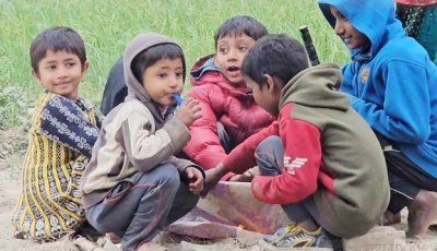 পদ্মার ১৭ চরে নেই স্কুল, শিক্ষাবঞ্চিত হাজারো শিশু