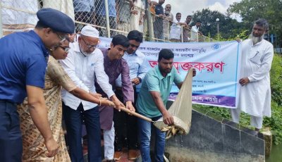 সাপাহারে প্রাতিষ্ঠানিক জলাশয়ে মাছের পোনা অবমুক্ত