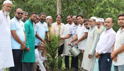 সিংড়ায় প্রধানমন্ত্রীর ২৫ কোটি বৃক্ষরোপন কর্মসূচি শুরু