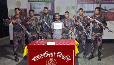 বিজিবি’র অভিযানে ভারতীয় ট্যাপেনটাডলসহ এক আসামী গ্রেফতার