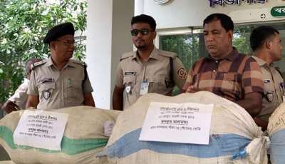 চারঘাটে ৭৫ কেজি গাঁজাসহ দুই মাদক কারবারি গ্রেফতার